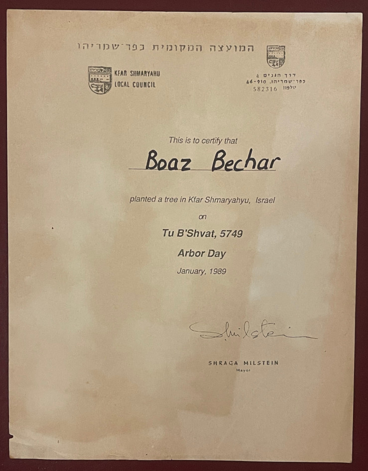 A 1989 certificate in Boaz's name for planting a tree in Israel